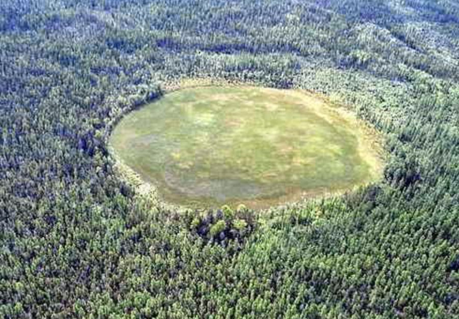 scary forest circle