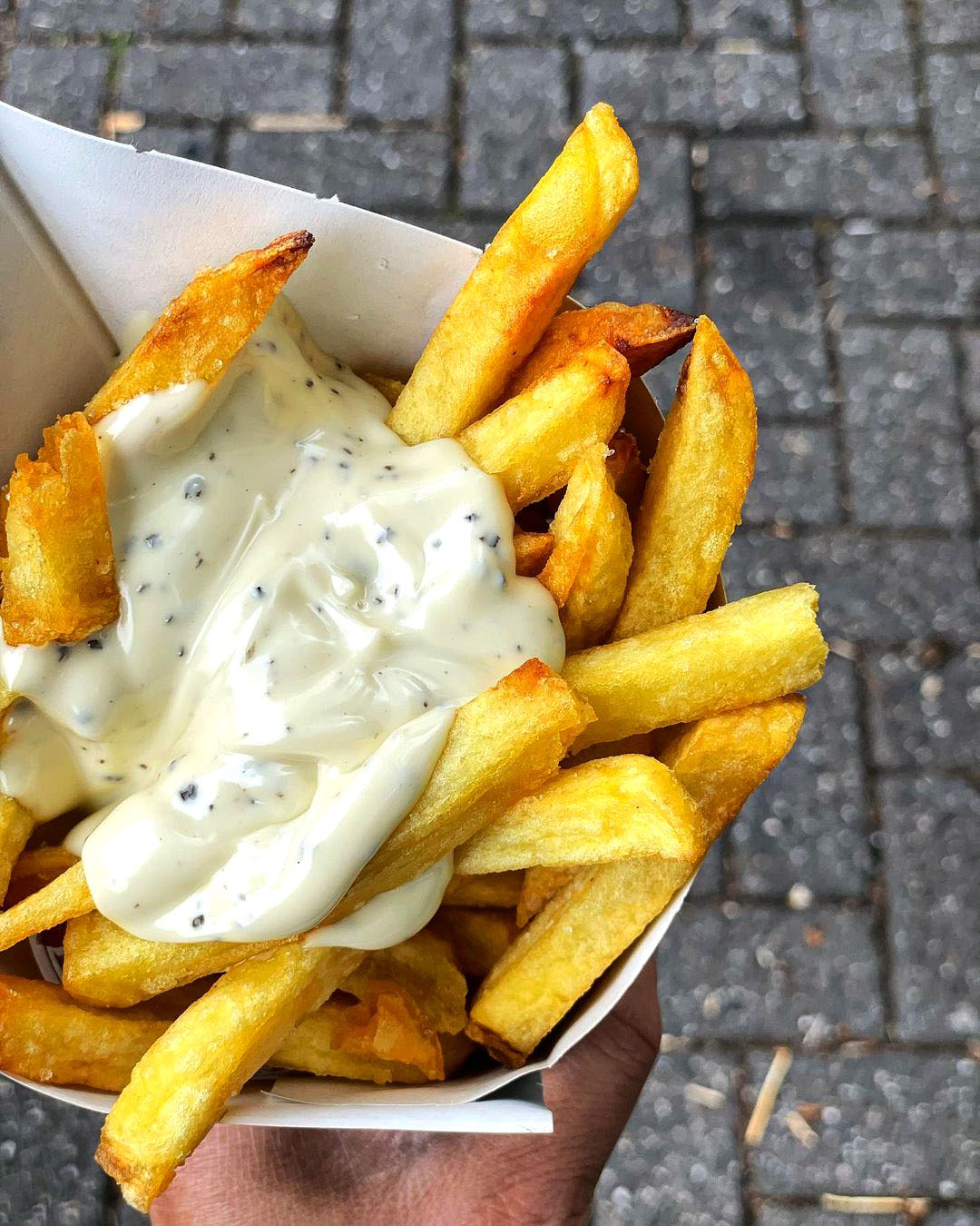 best fries in Amsterdam