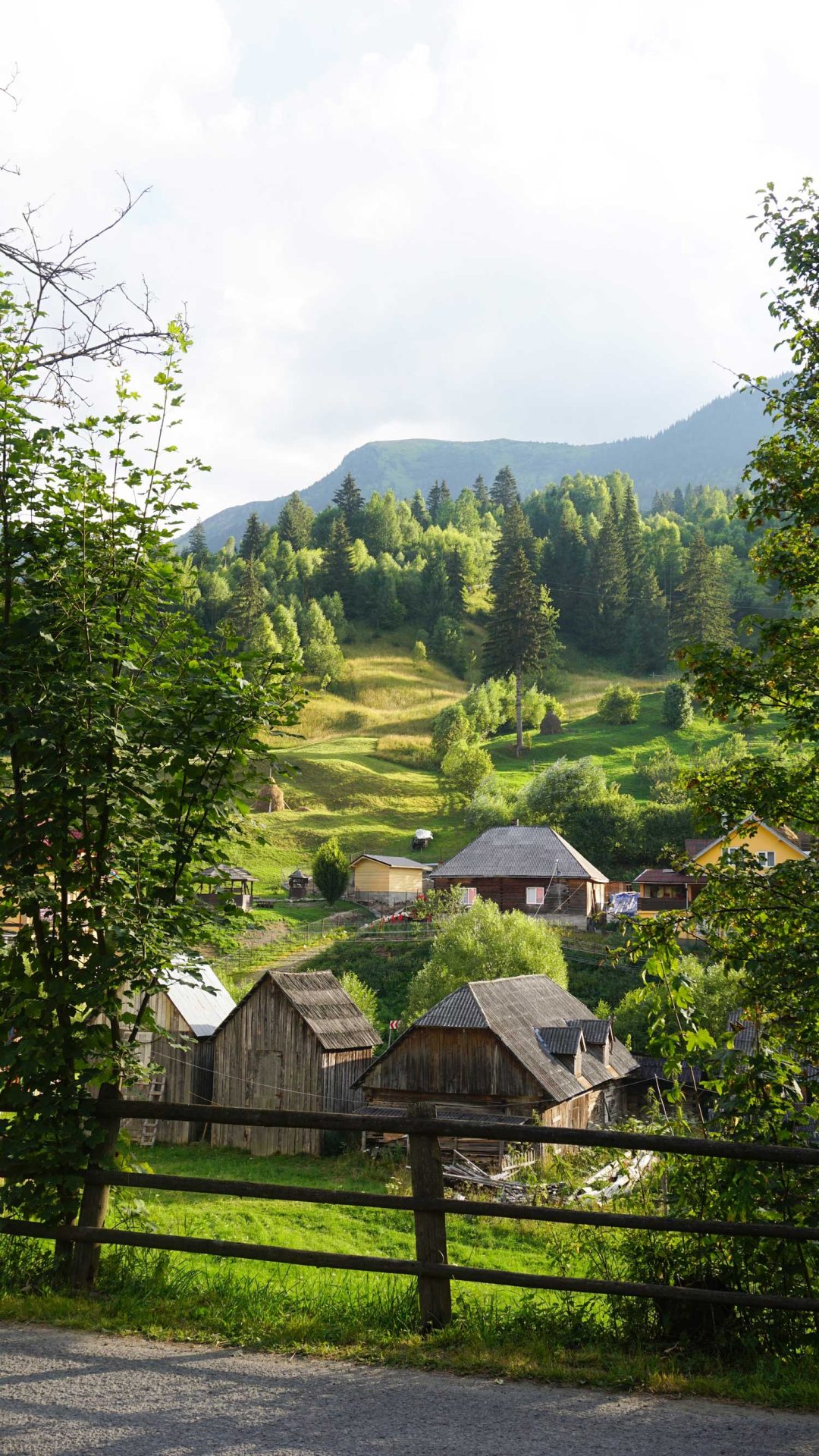 spring countryside