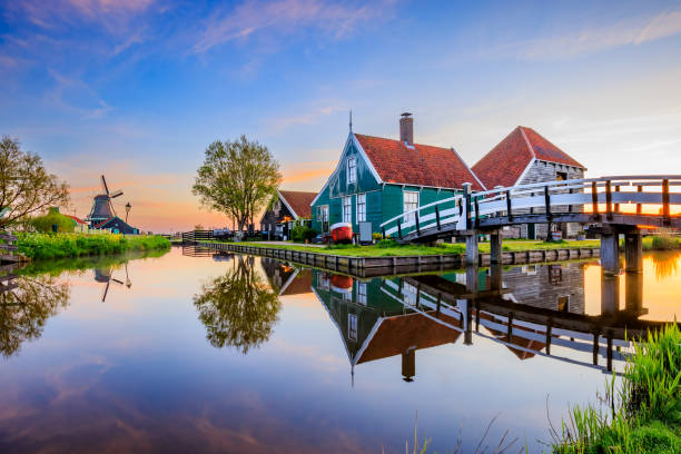 Exploring the Natural Beauty of the Netherlands